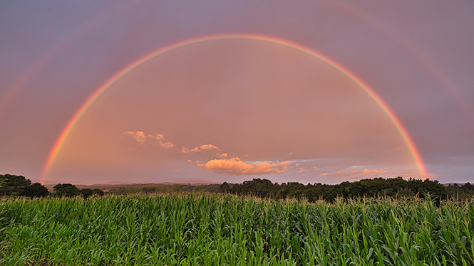 Arcoiris